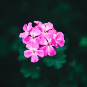 Creative flower well decor
